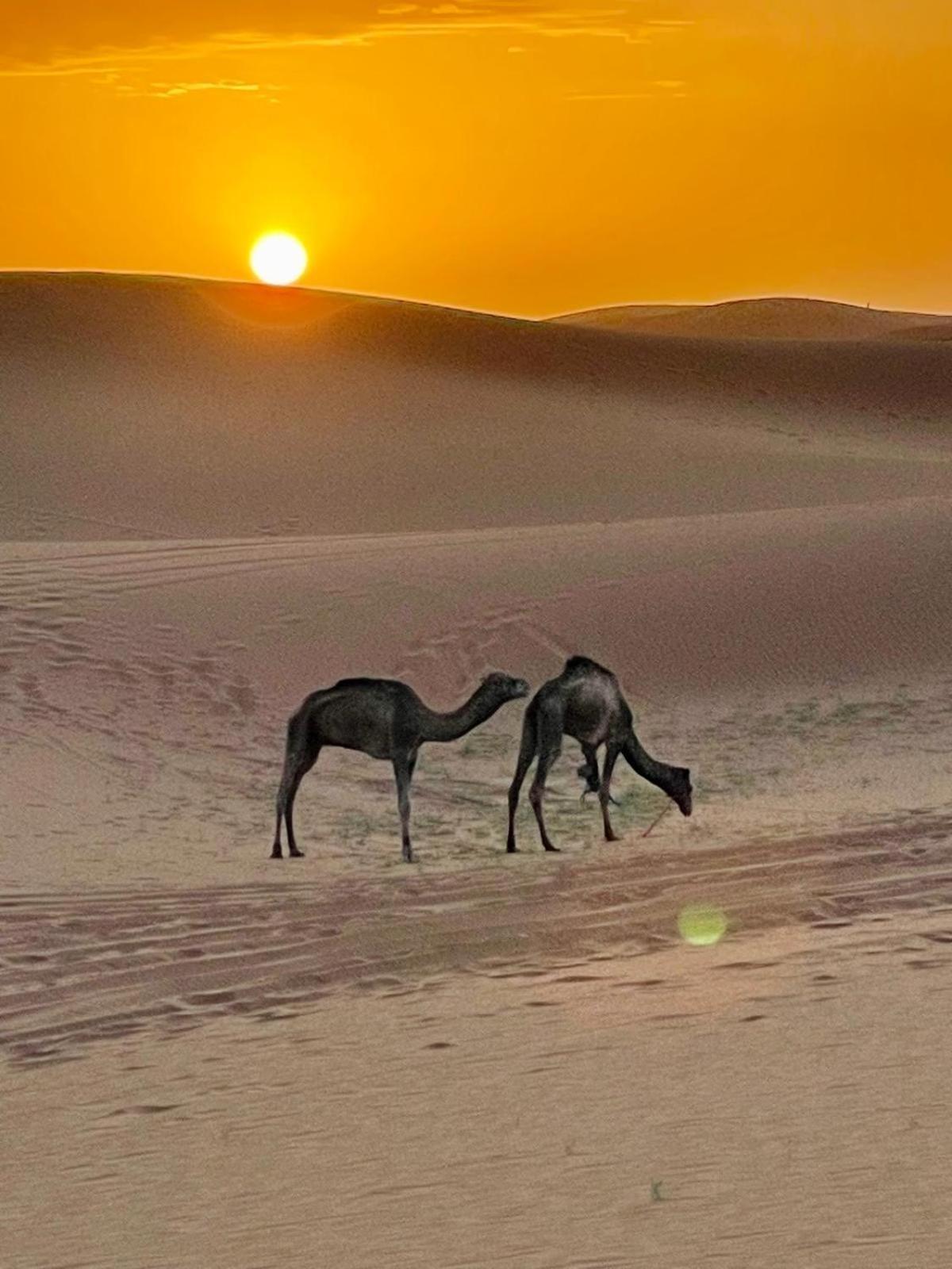 Chigaga Desert Camp Мхамід Екстер'єр фото